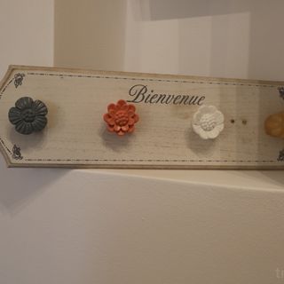 Teo's Flat Sighișoara (5)