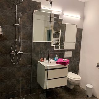 Vila Bogdan Agigea (3)