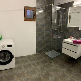 Vila Bogdan Agigea (4)