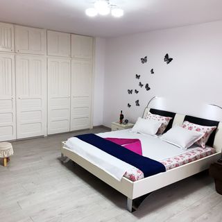 Vila Bogdan Agigea (5)