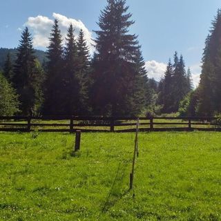 Cabana Lotus Borzont (2)