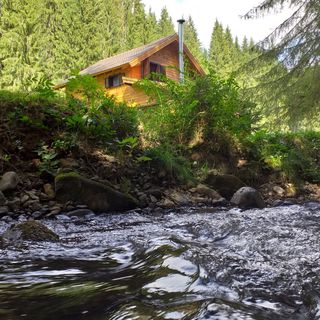 Cabana Lotus Borzont (4)