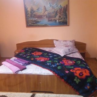 Pensiunea Brezu Rona de Jos (3)