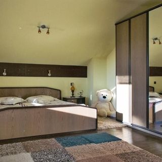 Vila Melisa Răzvad (3)