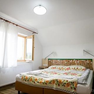 Vila Aria Albești (4)