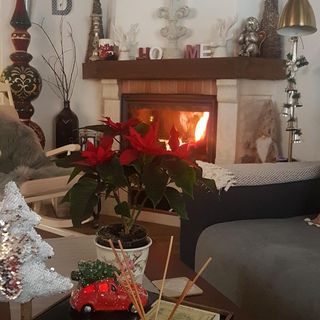 Casa Eggo Râușor (4)