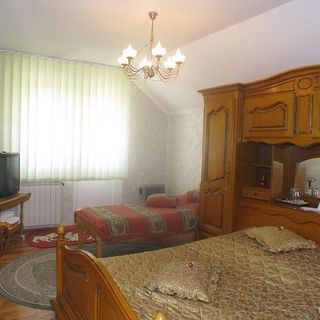 Vila Vlad Târgu Neamț (3)