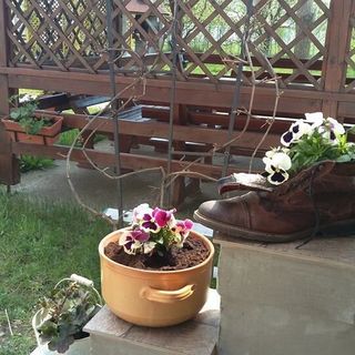 Vila Vlad Târgu Neamț (5)