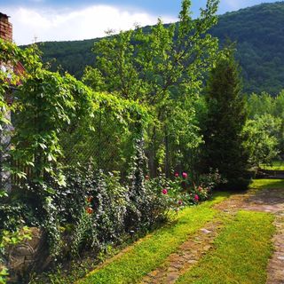 Cabana Dany Moroeni (3)