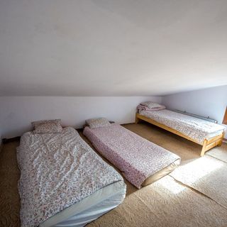 Căbănuța Sofia Galeșu (3)