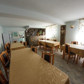 Pensiunea Felix Comuna Siriu (4)