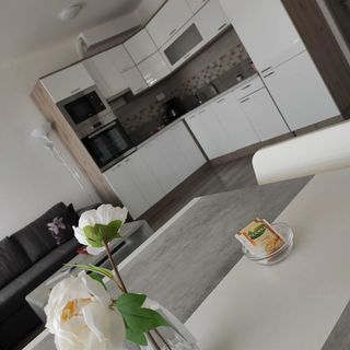 Bajcsy Apartment Debrecen (3)