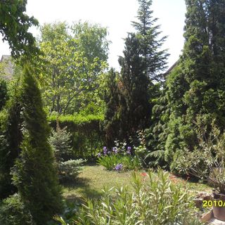 Családi Pihenő Apartman Balatonfüred (5)