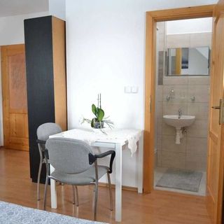 Pension u Sovy Sušice (3)