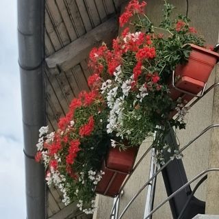 Casa Judith Turda (3)