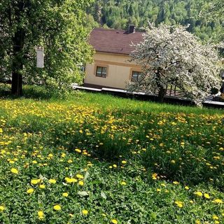 Pensiunea Boca Voroneț (2)