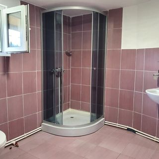 Pensiunea Boca Voroneț (4)