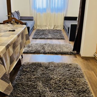 Casa Bunicii Sinaia (3)