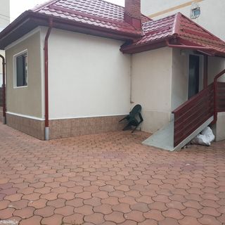 Casa Bunicii Sinaia (5)