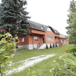 Pensiunea Csermely Izvoru Mureșului (2)