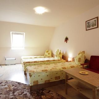 Pensiunea Csermely Izvoru Mureșului (4)