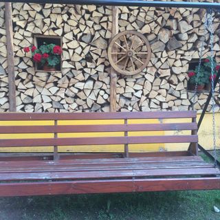 Pensiunea Adina Sâncraiu (4)