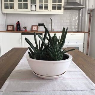 Diana's Flat 2 - Old Town București (3)