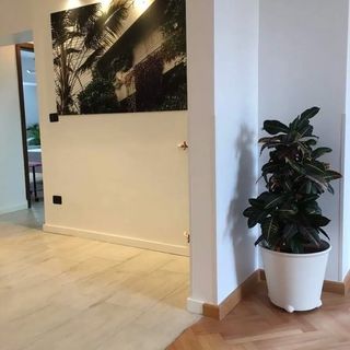 Diana's Flat 2 - Old Town București (4)