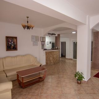 Vila Andreea Băile Felix (3)