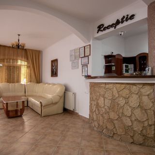 Vila Andreea Băile Felix (4)