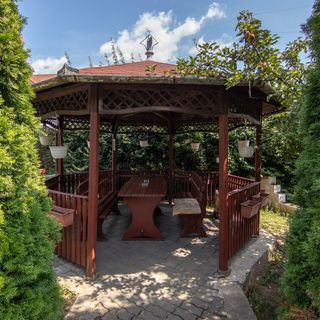 Vila Andreea Băile Felix (5)