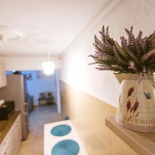 Apartament Maria 1 Alba Iulia (5)