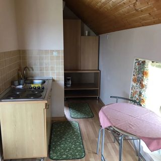 Pensiunea Feriga Sovata (5)