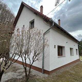 Casa de oaspeți Erdőfarka Satu Mare (4)