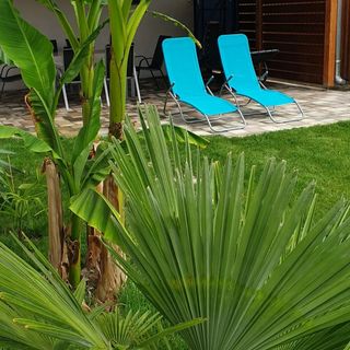 Renáta Vendégház Balatonmáriafürdő (3)