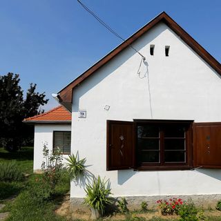 Falusi Vendégház 73 Alsóbogát (3)