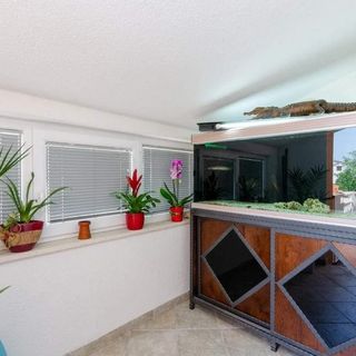 Apartmani Mandekic Crikvenica (2)