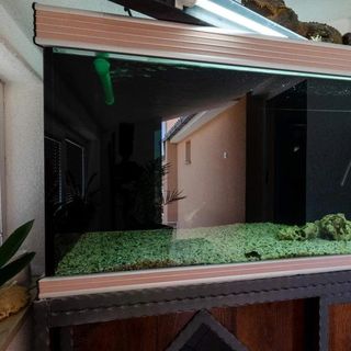 Apartmani Mandekic Crikvenica (3)