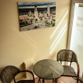 Pensiunea Martin Suite Alba Iulia (4)