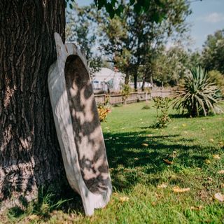 Forgó Lovastanya Pirtó (5)