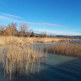 Otthon Kilátással Apartman Csopak (5)