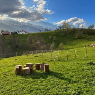 Nona Highland Home - Moeciu de Jos (5)