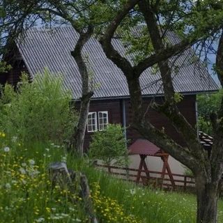 Cabanuța Mihaela Albac (2)