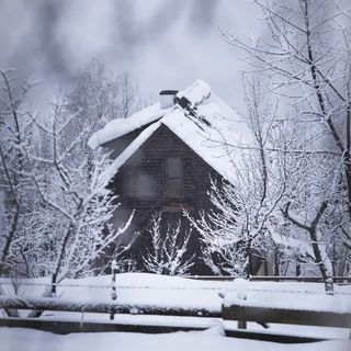 Cabanuța Mihaela Albac (3)