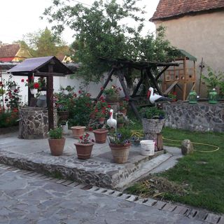 Pensiunea Mátyás Király Șaeș (2)