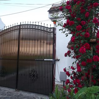 Pensiunea Mátyás Király Șaeș (3)