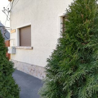 Vila Arthouse Lucrezia Timișoara (3)