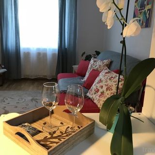 Apartament Comfy Sighișoara (5)