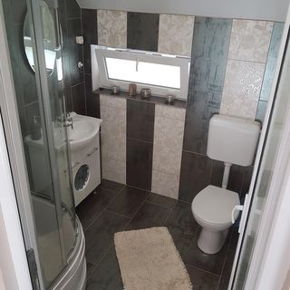 Casa de oaspeți Elza Suseni (5)