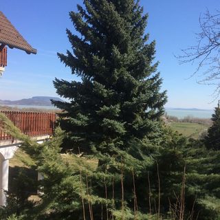 pARTvonal Apartmanház Balatongyörök (4)